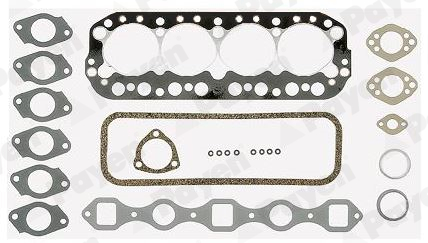 Cilinderkop pakking set/kopset Payen CK664
