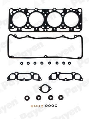 Cilinderkop pakking set/kopset Payen DE960