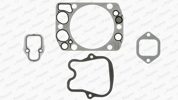 Cilinderkop pakking set/kopset Payen DG855