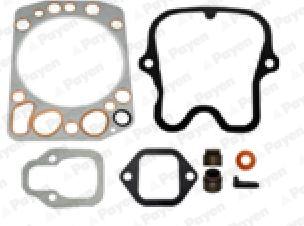 Cilinderkop pakking set/kopset Payen DG856