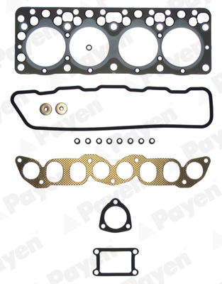 Cilinderkop pakking set/kopset Payen DM580