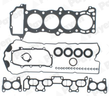 Cilinderkop pakking set/kopset Payen DP950
