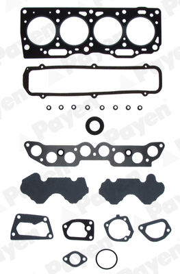 Cilinderkop pakking set/kopset Payen DR620