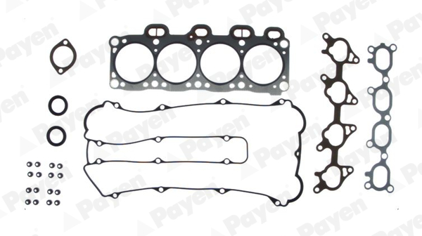 Cilinderkop pakking set/kopset Payen DR850