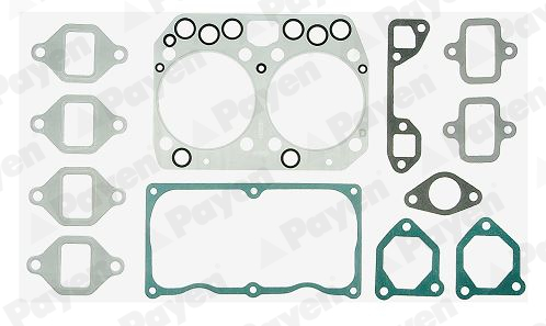 Cilinderkop pakking set/kopset Payen DV500