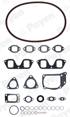 Cilinderkop pakking set/kopset Payen DV520