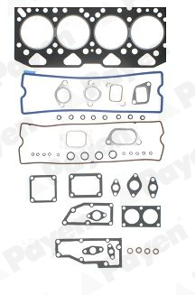 Cilinderkop pakking set/kopset Payen DV571