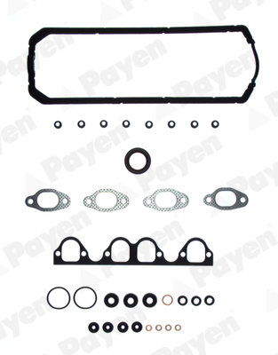 Cilinderkop pakking set/kopset Payen DV850