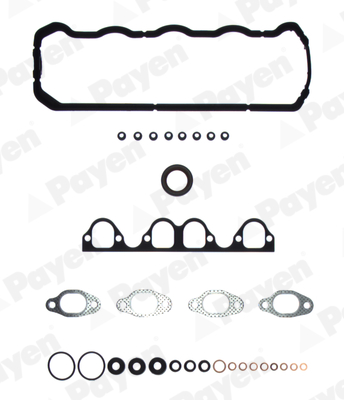 Cilinderkop pakking set/kopset Payen DX801