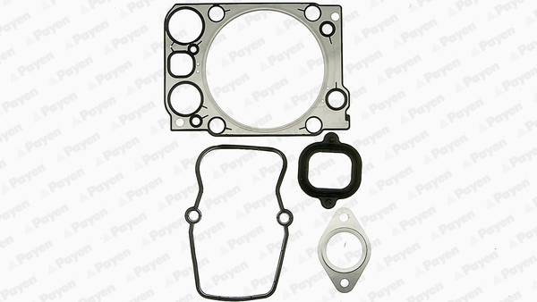 Cilinderkop pakking set/kopset Payen DZ141