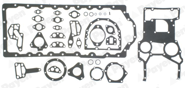 Motorpakking Payen ER530