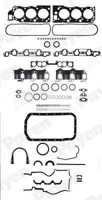Motorpakking Payen GS360