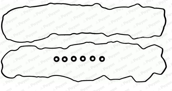 Kleppendekselpakking Payen HM5366