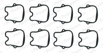 Kleppendekselpakking Payen HM5397