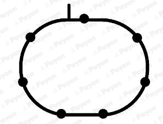 Inlaatspruitstukpakking Payen JD5987