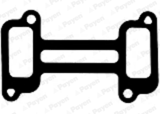 Inlaatspruitstukpakking Payen JD6049