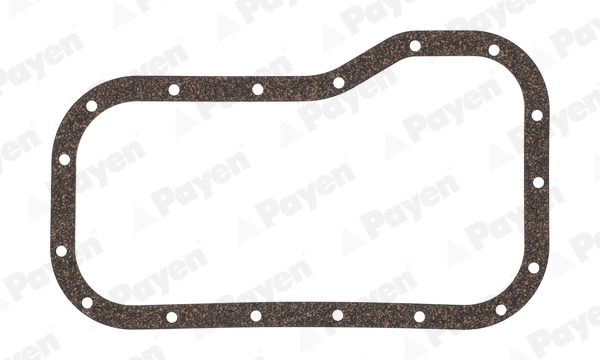 Payen Carter pakking JH5205