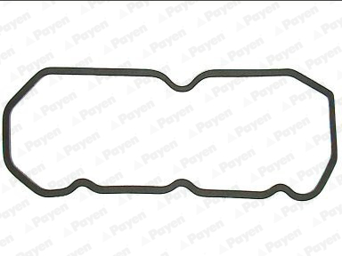 Kleppendekselpakking Payen JM444