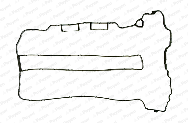 Kleppendekselpakking Payen JM5071