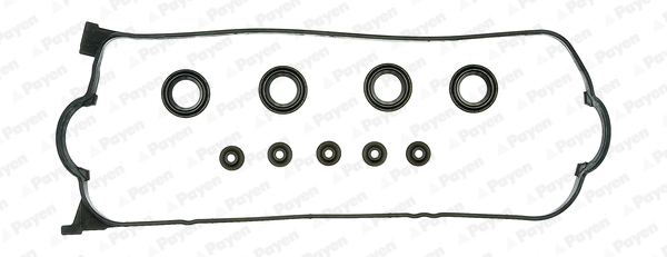 Payen Kleppendekselpakking JM5135