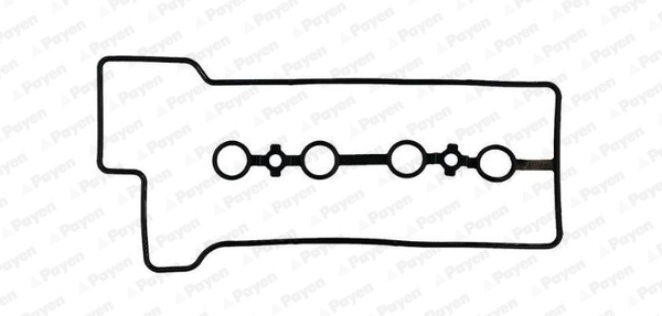 Kleppendekselpakking Payen JM5149