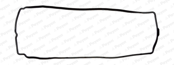 Payen Kleppendekselpakking JM5298