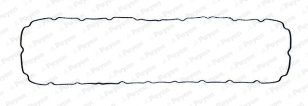 Kleppendekselpakking Payen JM7064
