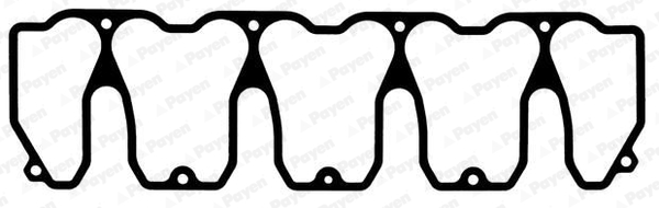 Kleppendekselpakking Payen JM7127