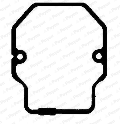Kleppendekselpakking Payen JM7131