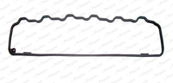 Kleppendekselpakking Payen JM7137