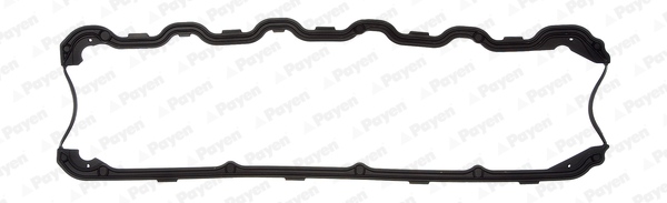Payen Kleppendekselpakking JN915