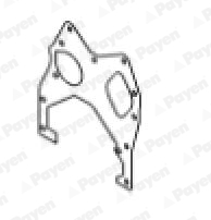 Carter pakking Payen JR801