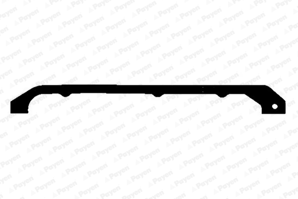 Carter pakking Payen LS857