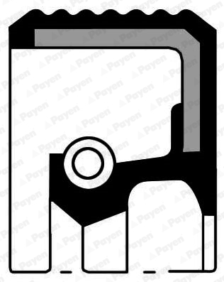 Nokkenas keerring Payen NA5035