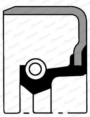 Wielnaaf keerring Payen NF037