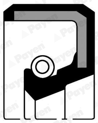 Krukaskeerring Payen NF694