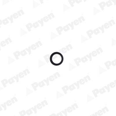 Payen Nokkenas keerring NF808