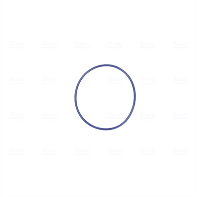 Nissens Gasklephuis 955005