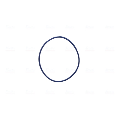 Nissens Gasklephuis 955036