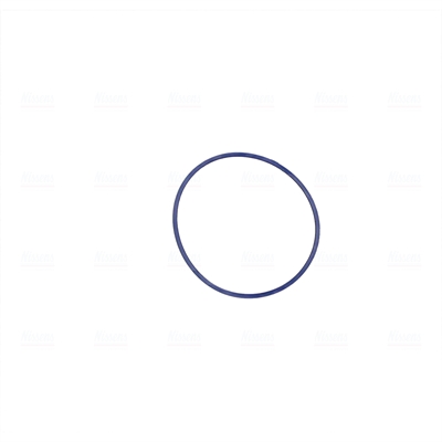 Nissens Gasklephuis 955089