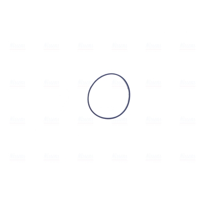 Nissens Gasklephuis 955120