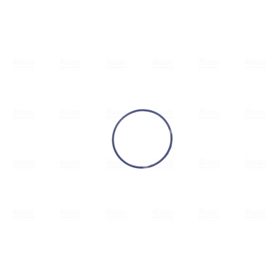 Nissens Gasklephuis 955125