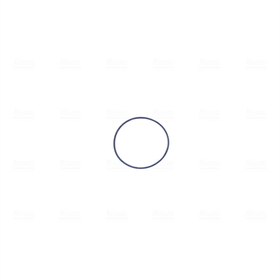 Nissens Gasklephuis 955126