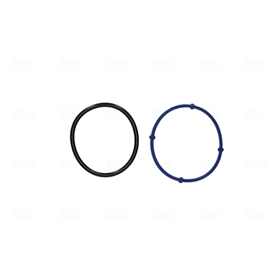 Nissens Gasklephuis 955153