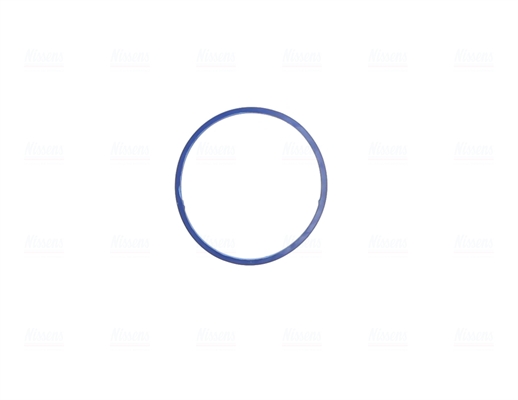 Nissens Gasklephuis 955291