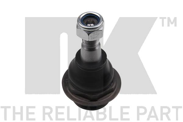 Fuseekogel NK 5043936