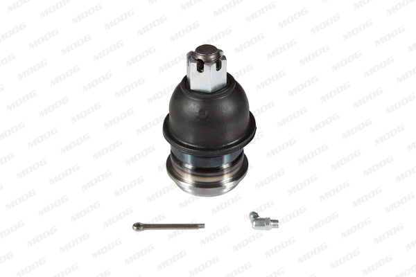 Moog Fuseekogel NI-BJ-104139