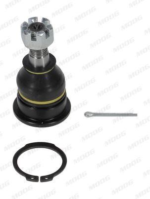Moog Fuseekogel NI-BJ-104145