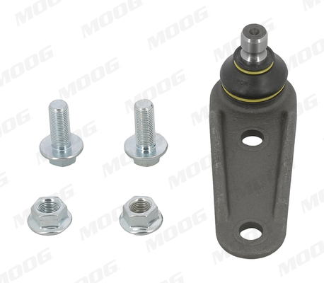 Moog Fuseekogel RE-BJ-10718