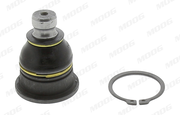 Moog Fuseekogel RE-BJ-15237